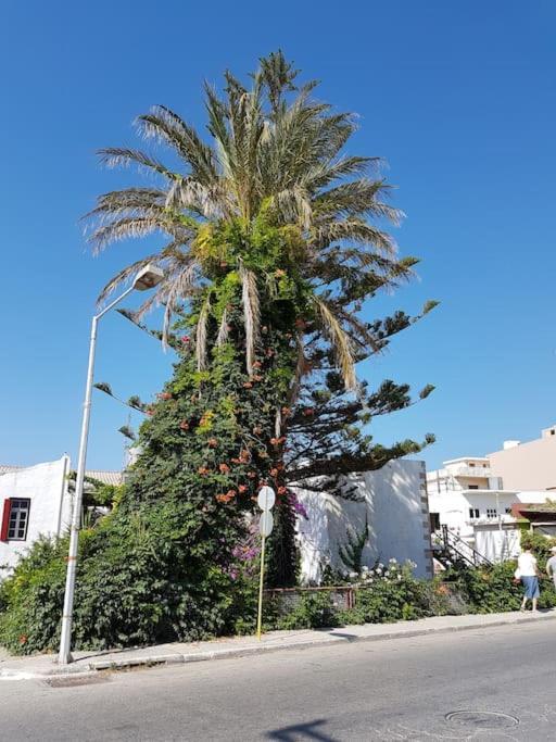 Heart Of Kissamos Apartment Exterior photo